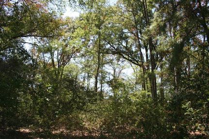 Farm and Ranch in Montgomery County, Texas
