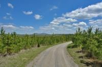 Riverfront Property in Franklin County, Virginia