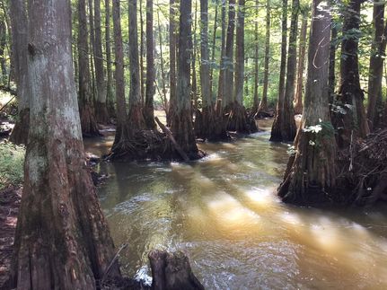House in Fayette County, Tennessee