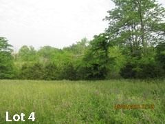 Land in Nicholas County, Kentucky