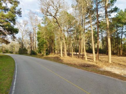 Undeveloped Land in Montgomery County, Texas