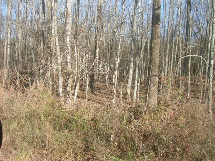 Farm and Ranch in Marengo County, Alabama