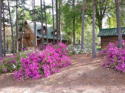 Land in Early County, Georgia