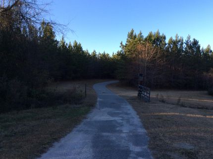 Land in Orangeburg County, South Carolina