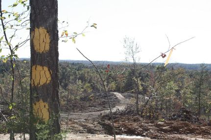 Farm and Ranch in Tippah County, Mississippi