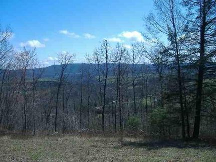 Land in Wythe County, Virginia