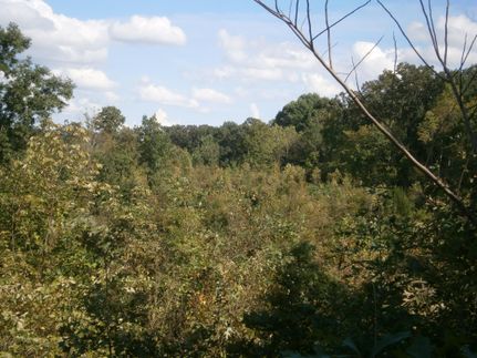 Farm and Ranch in Pontotoc County, Mississippi