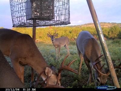 Farm and Ranch in Val Verde County, Texas