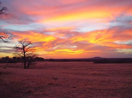 Undeveloped Land in Callahan County, Texas