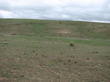 Farm and Ranch in Seward County, Kansas