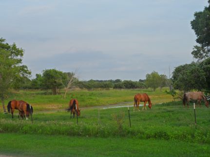 Land in Waller County, Texas