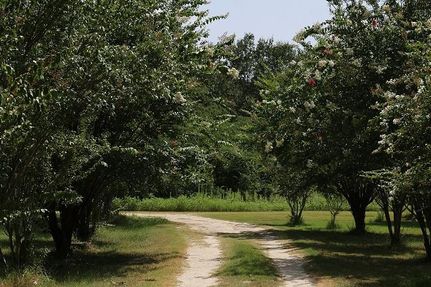 Timberland Property in Madison County, Texas