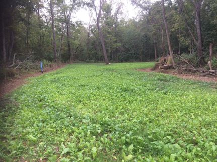 Farm and Ranch in Brown County, Ohio