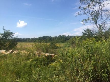 Farm and Ranch in Marion County, Tennessee