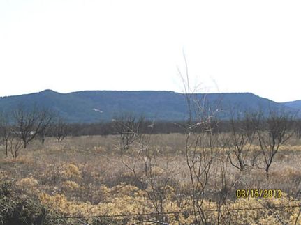 Farm and Ranch in Taylor County, Texas