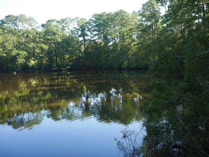 Recreational Property in Candler County, Georgia