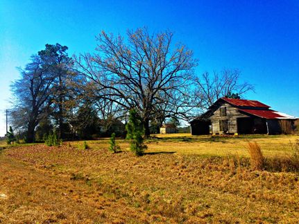 Farm and Ranch in Bulloch County, Georgia