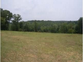 Farm and Ranch in Pike County, Alabama