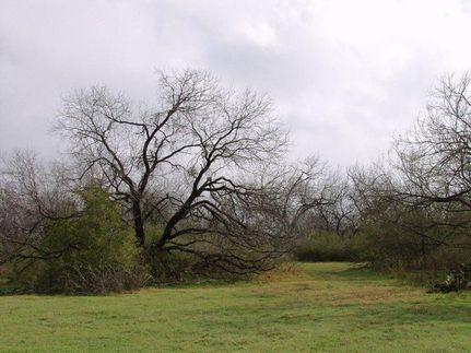 Farm and Ranch in Atascosa County, Texas