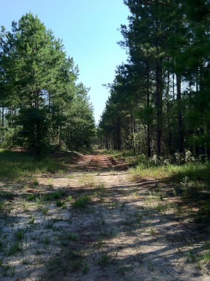 Farm and Ranch in Wilkinson County, Georgia