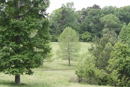 Farm and Ranch in Tyler County, Texas