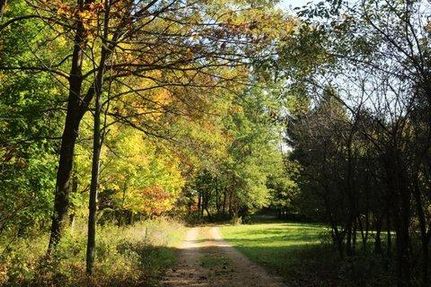 Hunting Property in Iowa County, Wisconsin