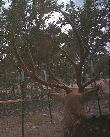 Farm and Ranch in Edwards County, Texas