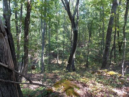 Farm and Ranch in Jefferson County, Alabama