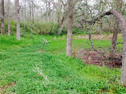 Farm and Ranch in Fayette County, Texas