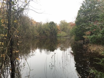 Farm and Ranch in Freestone County, Texas