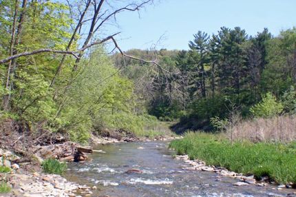 Commercial Property in Allegany County, New York