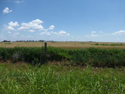 Farm and Ranch in Randall County, Texas