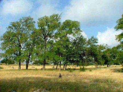 Farm and Ranch in Burnet County, Texas