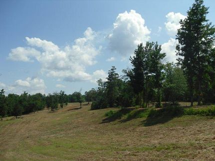 Undeveloped Land in Henderson County, Texas