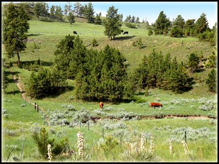 Farm and Ranch in Petroleum County, Montana