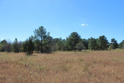 Recreational Property in Taylor County, Georgia