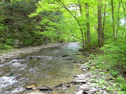 Recreational Property in Cortland County, New York