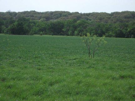 Farm and Ranch in Eastland County, Texas