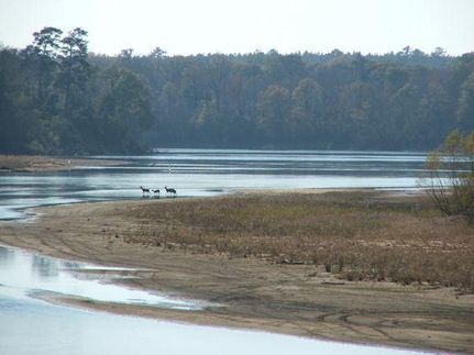 Farm and Ranch in Tattnall County, Georgia