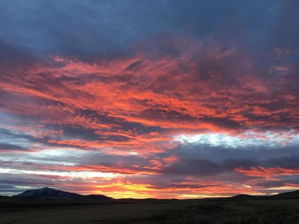 Farm and Ranch in Humboldt County, Nevada
