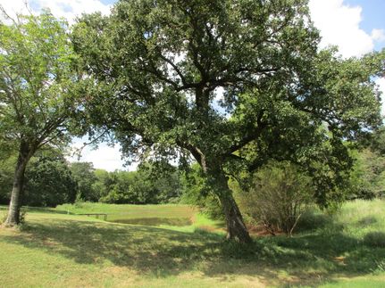 Farm and Ranch in Robertson County, Texas