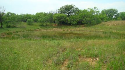 Farm and Ranch in Eastland County, Texas
