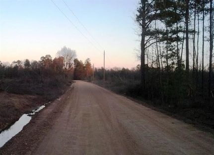 Farm and Ranch in Lafayette County, Arkansas