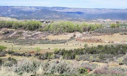 Recreational Property in Delta County, Colorado
