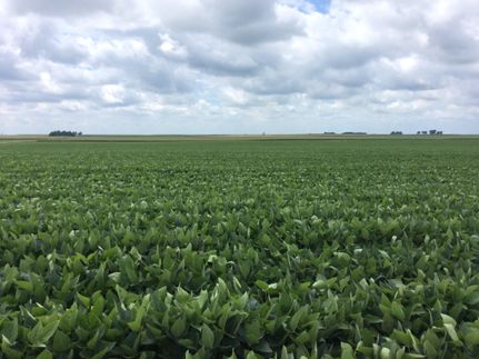 Farm and Ranch in Macon County, Illinois