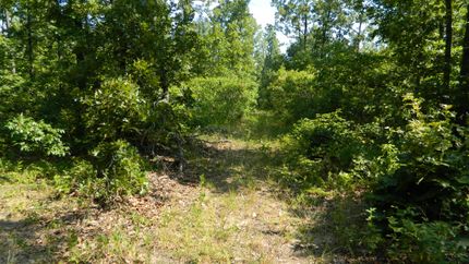 Farm and Ranch in Howell County, Missouri