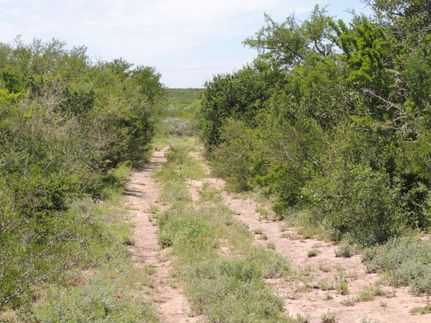 Land in Duval County, Texas