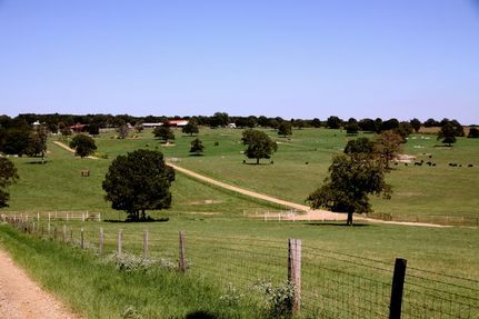 Farm and Ranch in Milam County, Texas