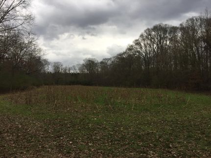 Land in Jefferson County, Mississippi
