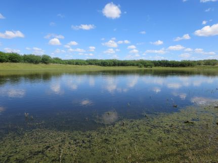 Land in Webb County, Texas